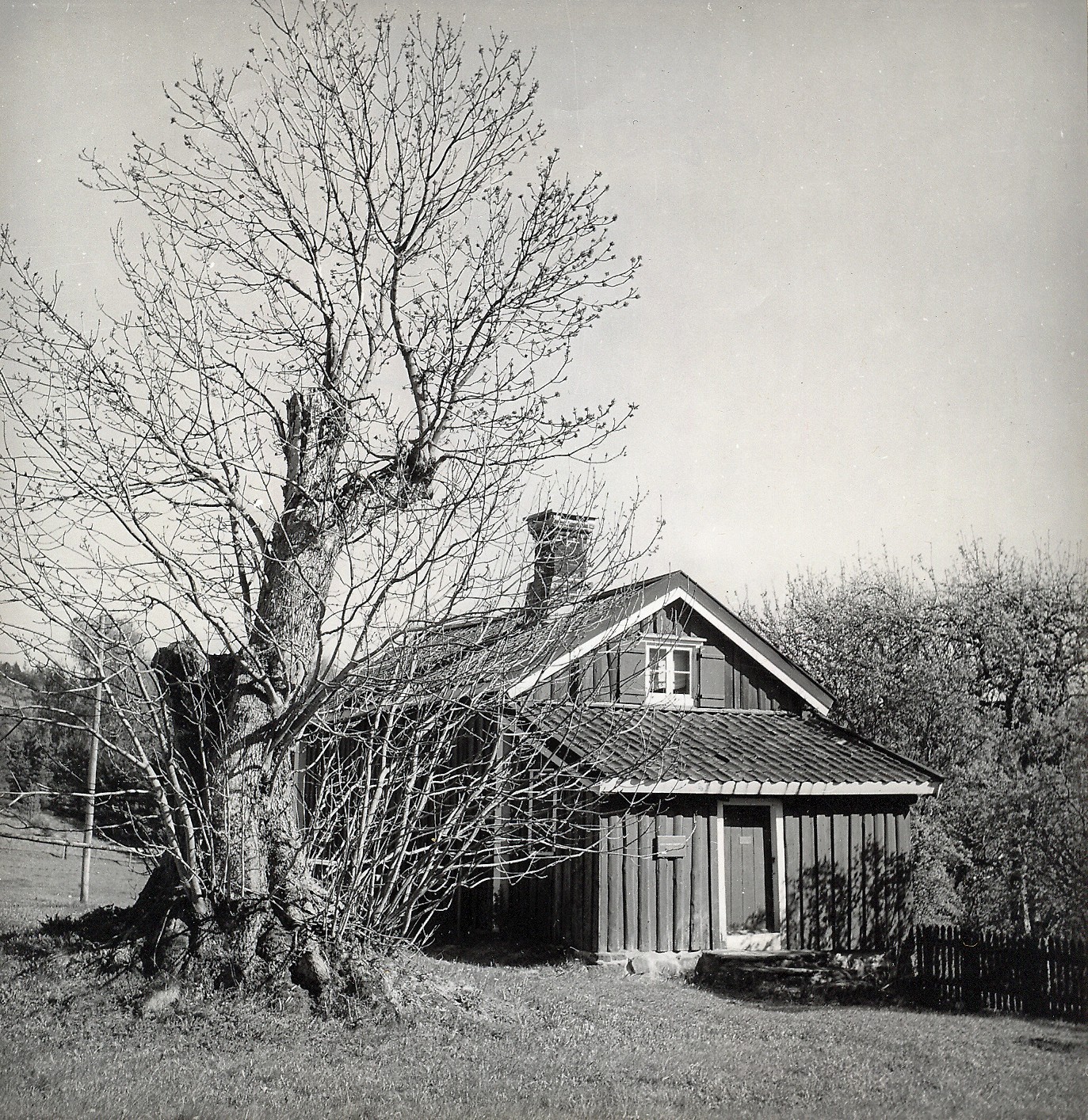 Fil:Wiknerstugan 1940-tal.jpg