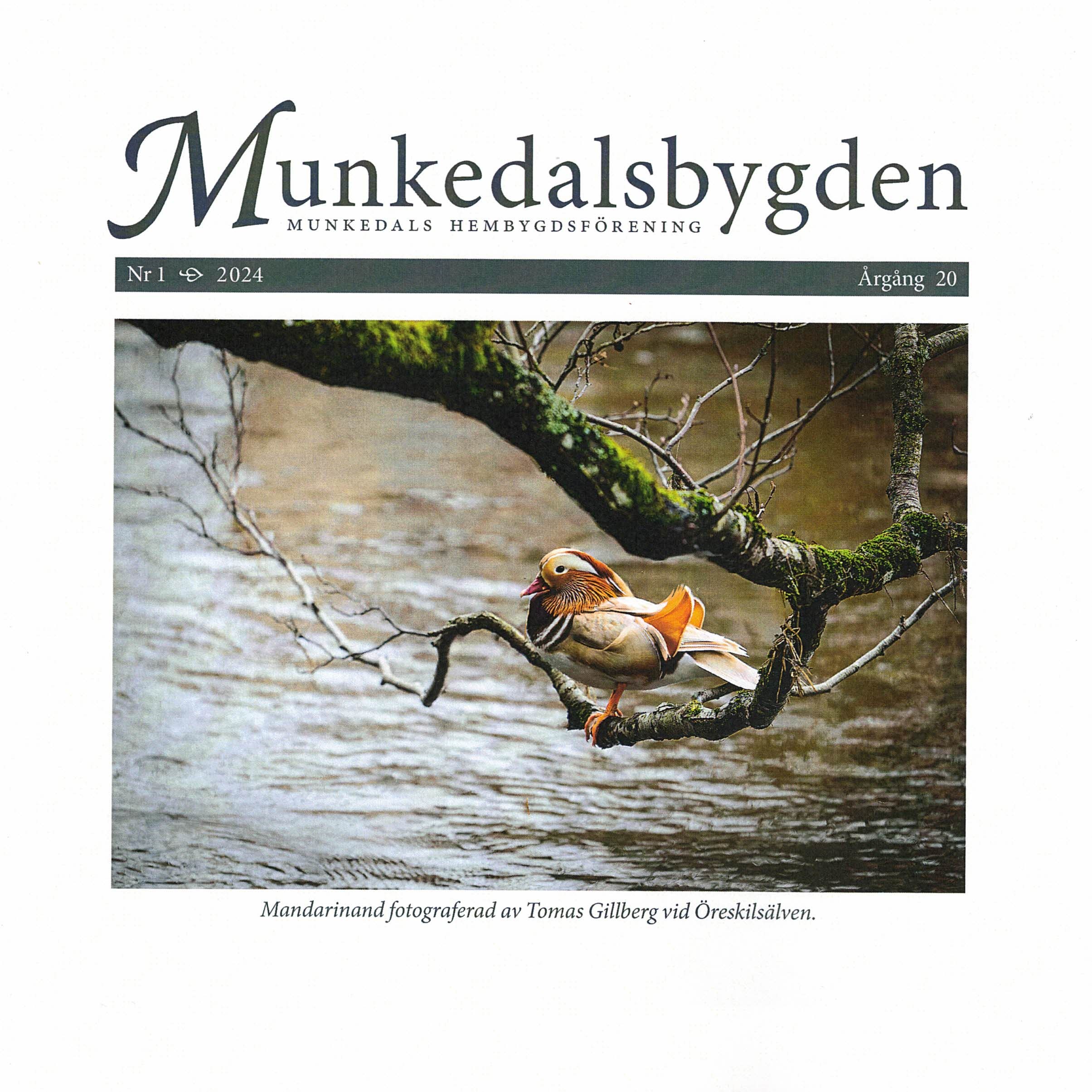 Munkedalsbygden 24-1 omslag.jpg