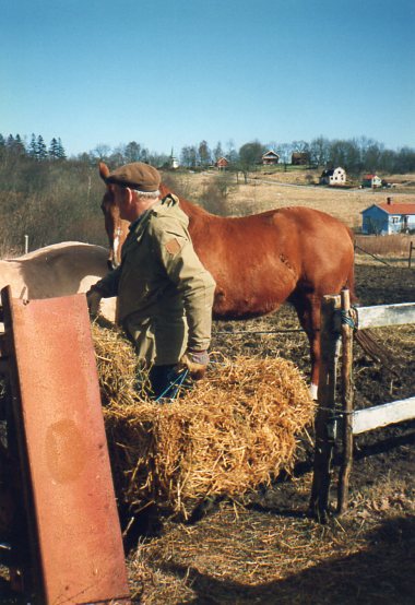 Bror-Gunnar m häst 003.jpg